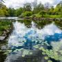 Professionelle Teichpflege in Potsdam, Berlin und Umgebung – Für einen gesunden und schönen Gartenteich