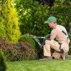 Gartenpflege