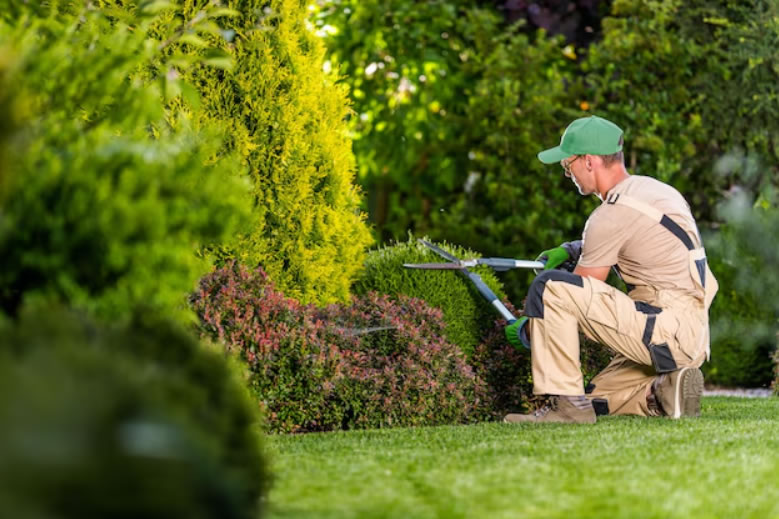 Rasenplanung, saisonale Rasenpflege, Grünpflege, professionelle Rasenpflege, Gartenpflege, Grünkonzept Brandenburg