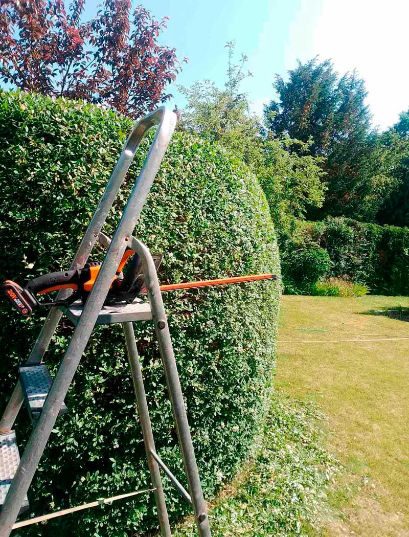 Gartenpflege, Gartenarbeit, Gartengestaltung, Gartenwirtschaft, Gartenpflegearbeit, Gartenbewirtschaftung, Gr&uuml;npflege, Gartenunterhalt, Gartenkultivierung, Gartenwartung 