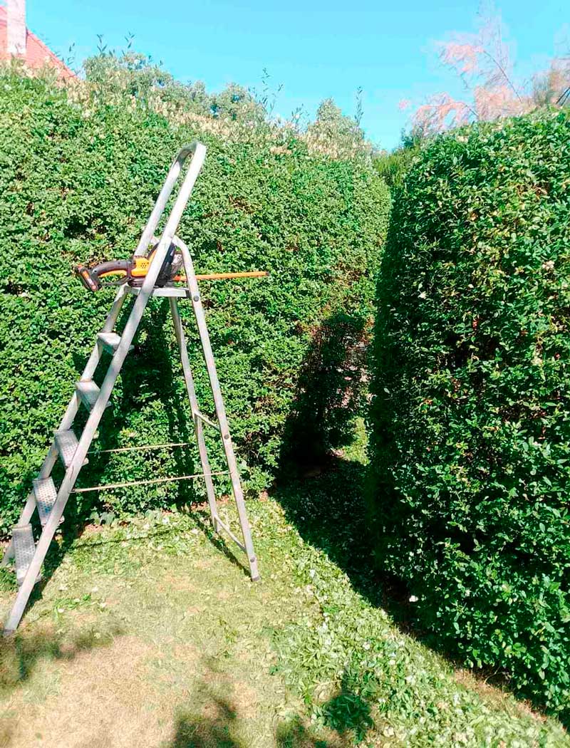 Gartenpflege, Gartenarbeit, Gartengestaltung, Gartenwirtschaft, Gartenpflegearbeit, Gartenbewirtschaftung, Gr&uuml;npflege, Gartenunterhalt, Gartenkultivierung, Gartenwartung 
