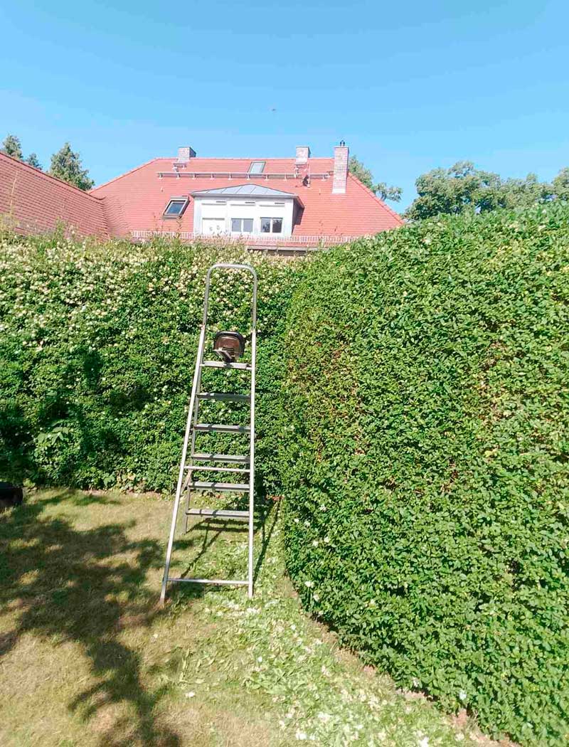 Gartenpflege, Gartenarbeit, Gartengestaltung, Gartenwirtschaft, Gartenpflegearbeit, Gartenbewirtschaftung, Gr&uuml;npflege, Gartenunterhalt, Gartenkultivierung, Gartenwartung 