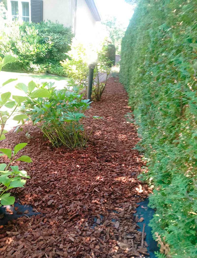 Gartenpflege, Gartenarbeit, Gartengestaltung, Gartenwirtschaft, Gartenpflegearbeit, Gartenbewirtschaftung, Gr&uuml;npflege, Gartenunterhalt, Gartenkultivierung, Gartenwartung 