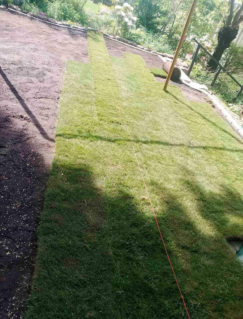 Professionelle Rasenarbeiten, Rasenpflege, Rasenunterhalt, Gr&uuml;nfl&auml;chenpflege, Rasenwartung, Gartenpflege, Gartenarbeit, Gartengestaltung, Gartenbau, GaLaBau, Landschaftsgartenpflege, Gr&uuml;npflege